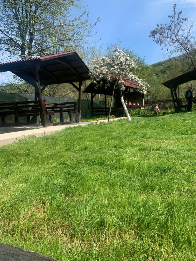 M Dey Ξενοδοχείο Vişeu de Sus Εξωτερικό φωτογραφία
